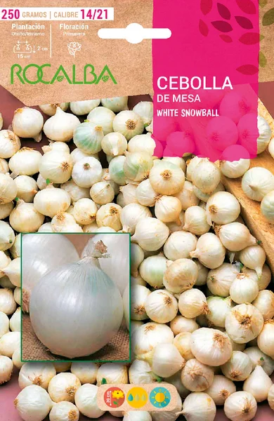 Semilla Bulbo Cebolla White Snowball Calibre 14/21 250 Gramos