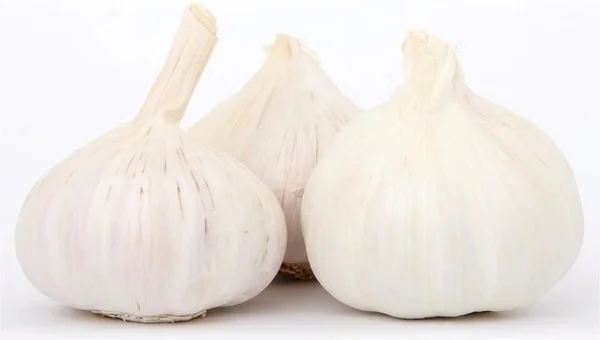 Ajos Pitirri Blanco Kg
