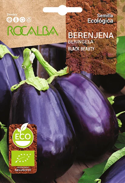 Semilla Ecologica Berenjena Black Beauty