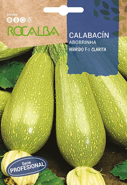 Semilla Profesional Calabacin Clarita F-1