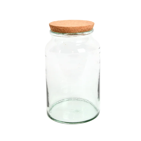 Botella de Terrario Medio Abierta M