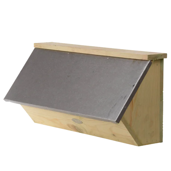 Caja Nido Vencejo Comun