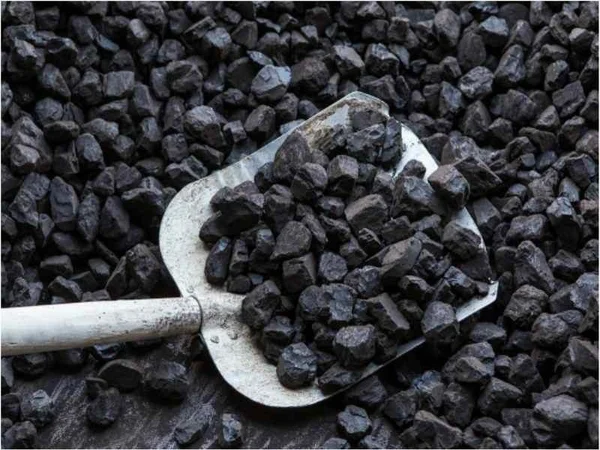 Carbon Cocina 15 kg