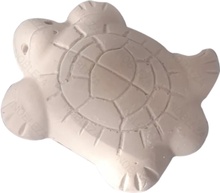 Calcio Tortugas Specipez