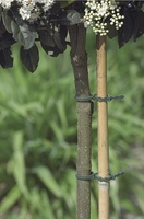 Bridas Plastico Verde Nortene 35cm 24u