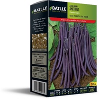 Semilla Judia Enana Violeta Amethyst