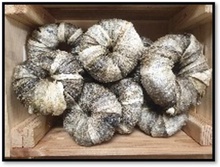 Donuts Piel Pescado 8cm Donuts Piel Pescado 8cm