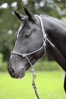 Cabezada Caballos nudos Full Black/Grey Cabezada Caballos nudos Full Black/Grey