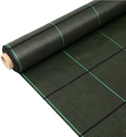 Malla Antihierba Verde 2x10