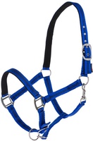 Cabezada Caballo Mustang Regulable Azul/Negro Talla Cob
