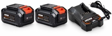 Pack 2 bater�as ECHO Garden+ 40 V 4 Ah LBP-36-150 + cargador LC-3604