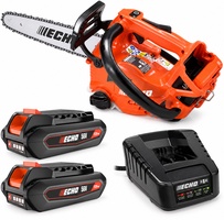 Pack motosierra poda ECHO DCS-2500T PRO 25 cm + 2 bater�as 56 V 2,5 Ah y cargador r�pido