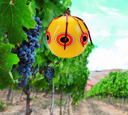 Espantapajaros de Balon Amarillo