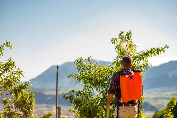 Pulverizador Stocker Mochila 12 litros