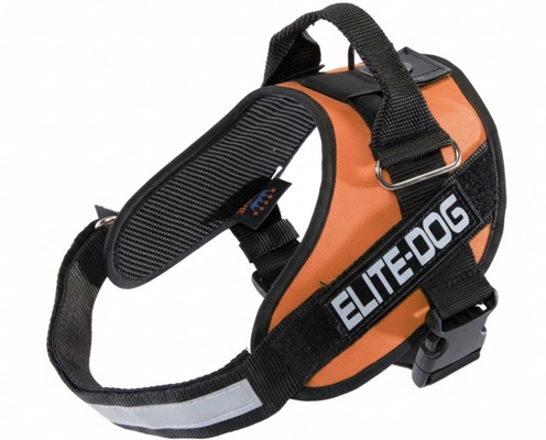 Arnes Elite Dog Talla 3