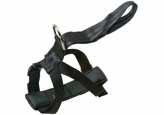 Arnes T Seguridad Automatico 30/70 cm.