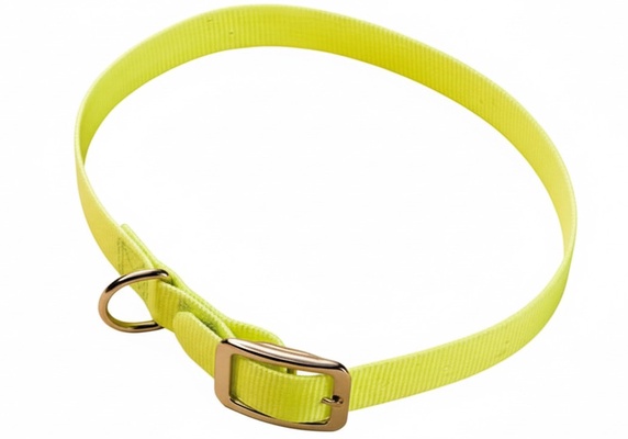 Collar Cinta Nylon Plastificada 55 x 2 cm Collar Cinta Nylon Plastificada 55 x 2 cm