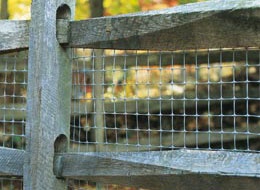 Tela Plastico Milenium Arg 1x10m