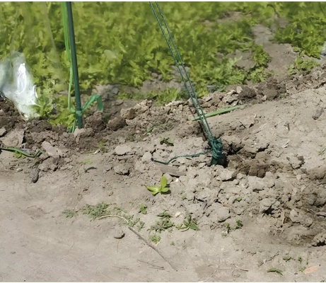 Invernadero Tunel 200x300x180