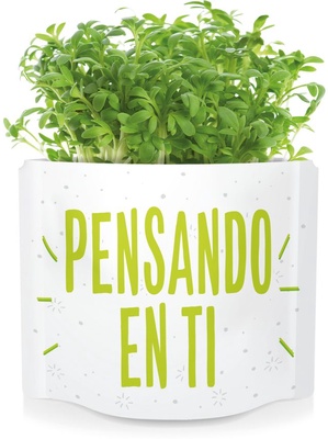 Postal Pensando en Ti -germinados Rucula