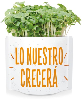 Postal Lo Nuestro Crecera -germinados Brocoli