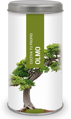 Kit Cultiva Tu Propio Olmo