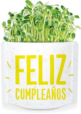 Postal Feliz Cumplea�os -germinados Girasol
