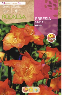 Bulbo Freesias Simples 5+ Naranja Bulbo Freesias Simples 5+ Naranja