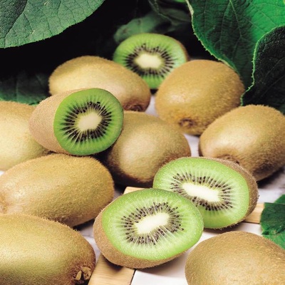 Kiwi Autofertil Planta Jenni