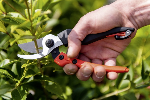 Tijera Poda Jardin Bypass 19.5 cm