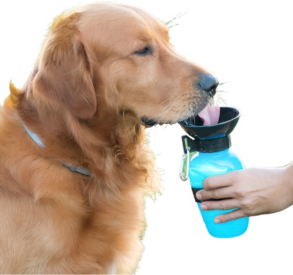 Botella Bebedero Mascotas Innovagoods