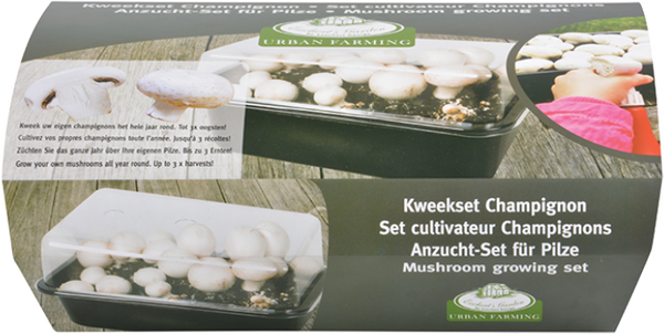 Set de Cultivo de Champi�ones