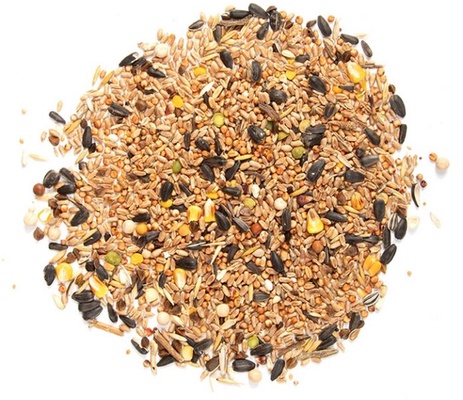 Comida Pajaros Silvestres Mezcla de Semillas 4 Estaciones