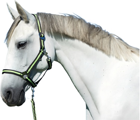 Cabezada Caballo Nylon Antracita/Lima Talla Pony 1