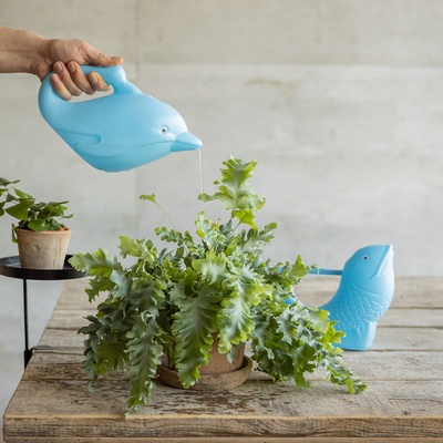 Regadera Reciclada Sealife