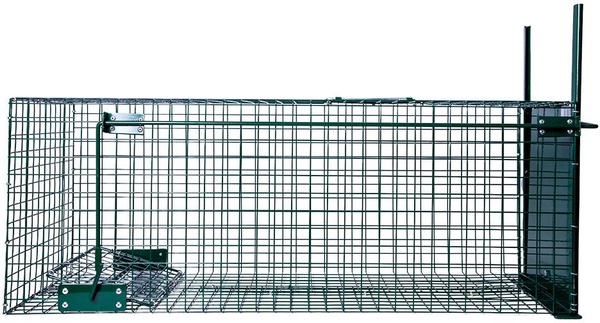 Jaula Trampa 1 Entrada BoxTrap 82x31x30 cm