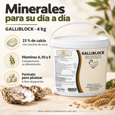 Bloque Mineral Gallinas GalliBlock 4 kg