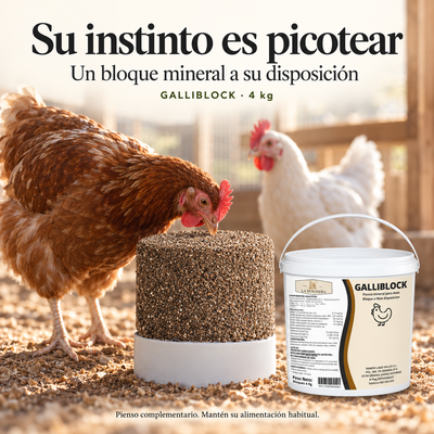 Bloque Mineral Gallinas GalliBlock 4 kg