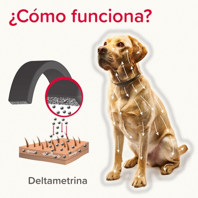 Beaphar Canishield Collar Antiparasitario Perro Peque�o y Mediano - 48 cm