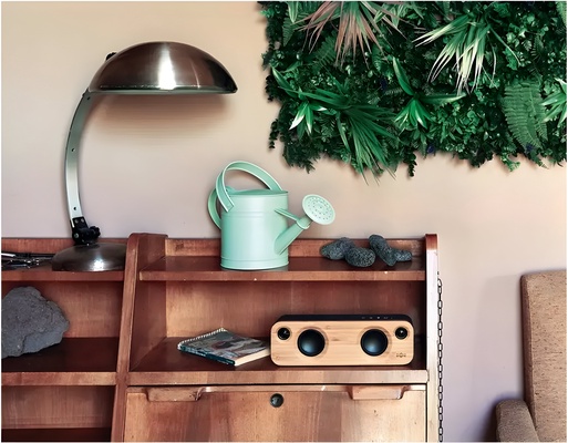 Regadera Metalica Azul 3 Lts