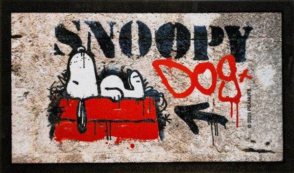 Felpudo Goma Peanuts Grafiti Dog 40x68
