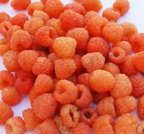 Planta Frambuesa Melocoton Maceta 1 Litro