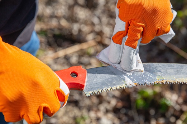 Limpiador de Cuchillas y Cadenas Bladeup 250