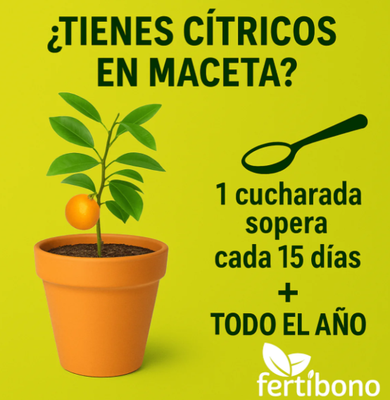 Abono Citricos Fertibono 2 Kg