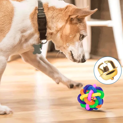 Juguete Pelota de Colores
