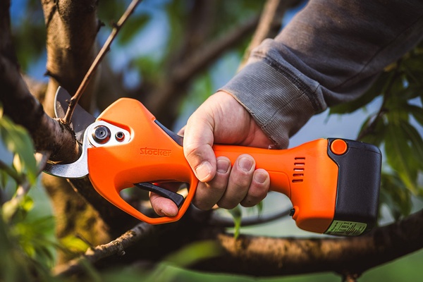 Tijera Poda Magma Stocker E-40 TP 21 V
