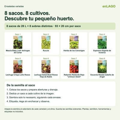 Pack ensaladas variadas para huerto urbano: 8 sacos + 8 sobres Rocalba