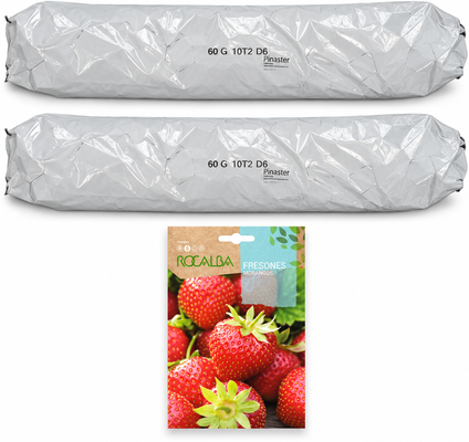 Pack huerto escolar con fresas para huerto urbano: 2 sacos + 2 sobres Rocalba