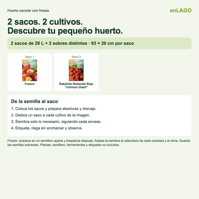 Pack huerto escolar con fresas para huerto urbano: 2 sacos + 2 sobres Rocalba