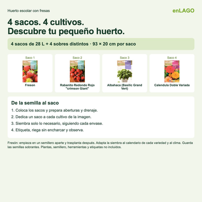 Pack huerto escolar con fresas para huerto urbano: 4 sacos + 4 sobres Rocalba